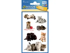 papieretiket Z-design Kids pakje a 3 vel katten foto