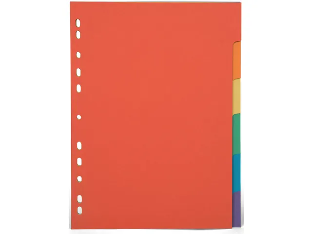 Tabblad A4+ Karton 6-delig Assorti