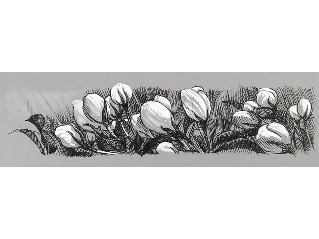 Tekenstift Faber-Castell Pitt Artist Pen 1,5 101 wit