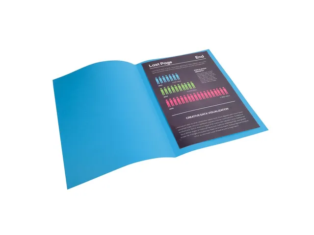 Pak van 100 dossiermappen ROCK''S 220 - 24x32cm--Blauw