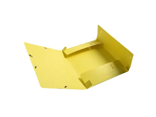 Cartobox Archiefdoos R25mm Aquarel geas