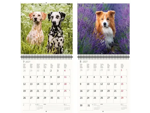 Kalender 2027 Helma 365 30x30cm honden