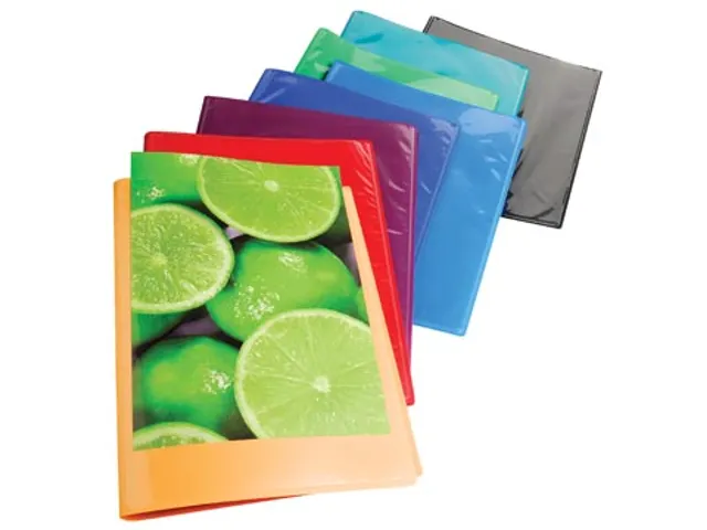 Exacompta Showalbum A4 Kreacover 20 Tas Assorti