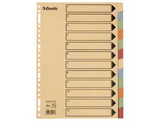 Tabbladen Esselte Premium A4 12-delig karton 23-rings assorti - 1