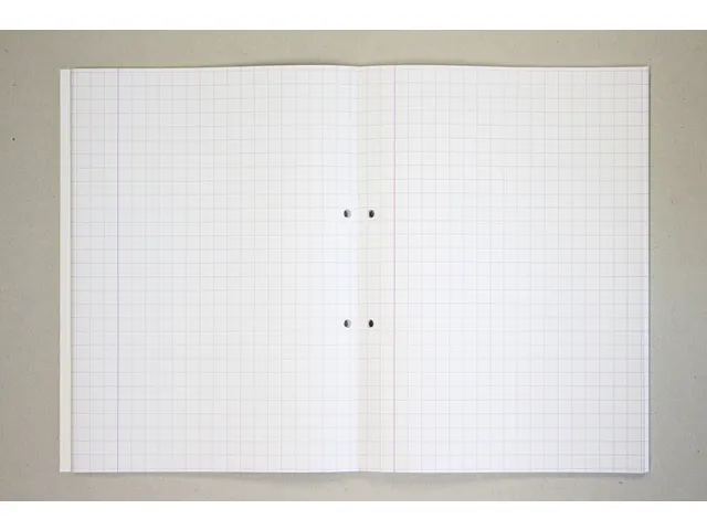 Cursusblok Kangaro A4 ruit 10mm 90 grams 100 vel