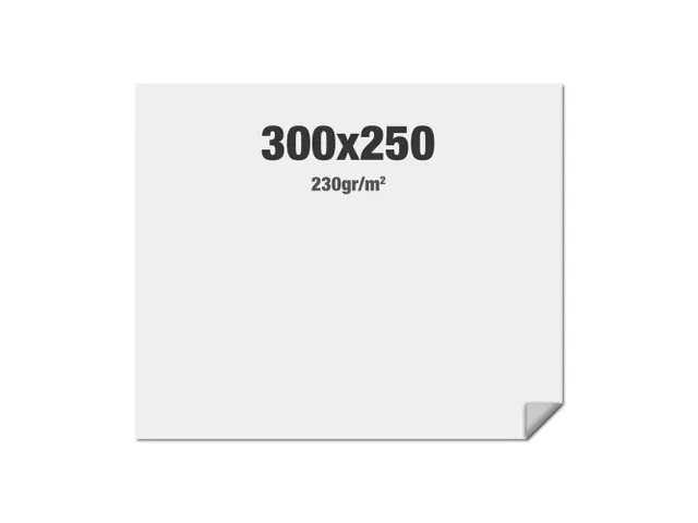 Print voor FlexFrame beurswand 300x250cm