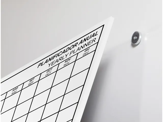 Whiteboard Rocada Skinplanner maanden 75x115cm wit gelakt
