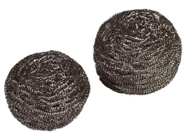 Schuurspons Uit Inox, 40 Gram