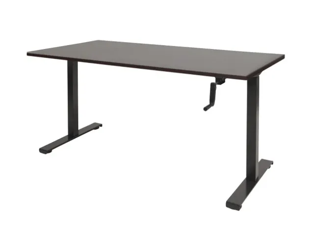 Dextro Slinger Bureau Zit-sta T-poot 120x80 Logan Eiken 25mm Zwart