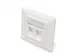 Frontplaat voor Keystone Jacks 2x RJ45 stofkap 80x80 + centrale plaat