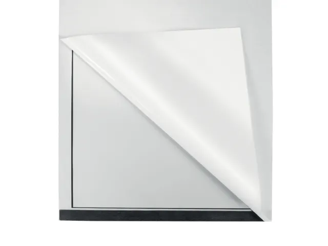 Infokader Nobo zelfklevend A4 zwart 2 stuks