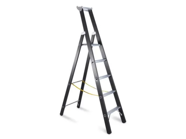 Zwaarlastladder Aluminium Boom L 2 15M 5Sporten Bordes H 1 33M
