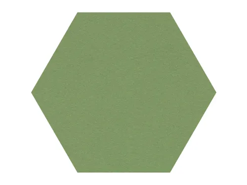 Prikbord Zeshoek Groen Kleur 2213 Bulletin Paneel Ø 60cm frameloos