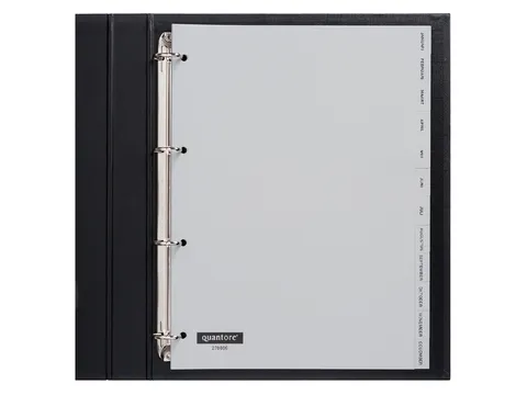 Tabbladen Quantore A4 4-Gaats 12-Delig Jan-Dec Grijs Pp