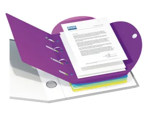 ringmap-set,1ringmap,6mappen,DIN A4,doos,op kleur gesorteerd - 2