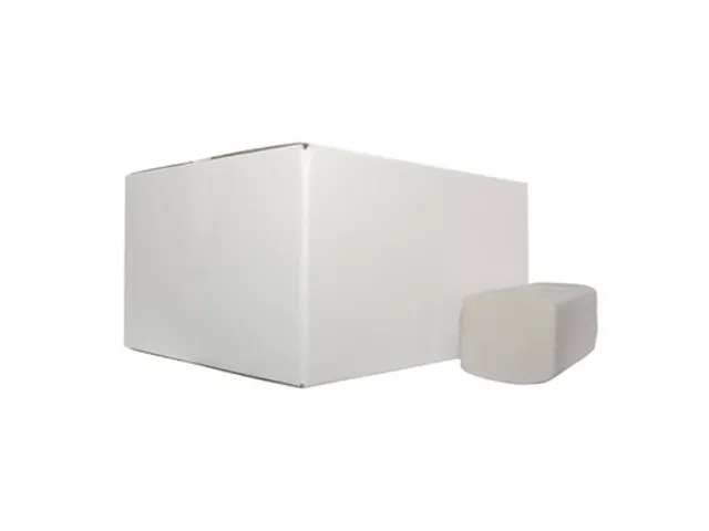 Handdoekpapier Z-vouw Recycled 2-laags 25x22cm wit 20x160 stuks