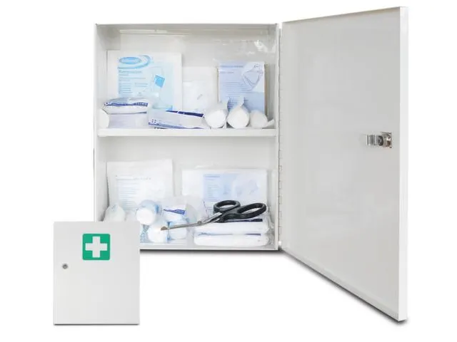 Ehbo Kast Staalplaat Din13157 Hxbxd 360X290X145Mm Met Din-Vulling