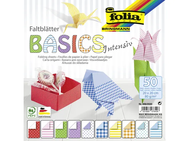 Vouwblaadjes Folia 80gr 20x20cm 50 vel 2-zijdig 10 basics designs
