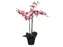 Kunstplant Mica Phalaenopsis orchidee roze in plastic pot 79x51cm