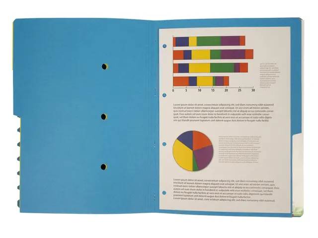 Sorteermap Kangaro 12 tabs