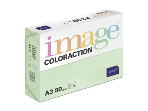 Kopieerpapier Forrest Middelgroen A3 160 Gram 500 Vel
