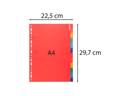Tabbladen Glanskarton 225 Gram A4 12 tabs