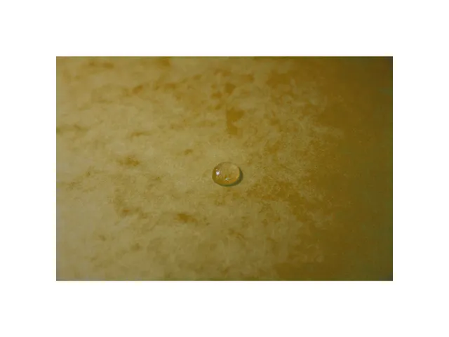 Elastomap 3 kleppen glanskarton 355gm² - A4-Geel