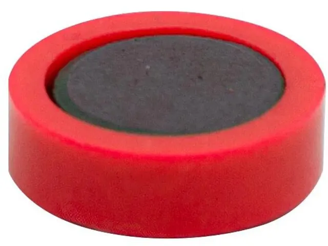 Magneten 20 Mm Rood 10 Stuks
