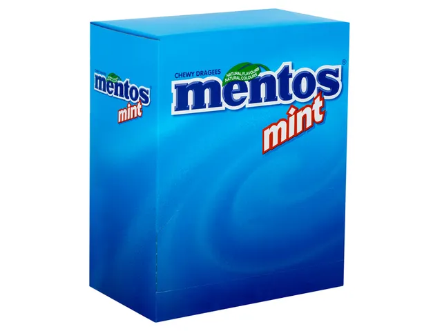 Snoep Mentos meeting mint 700 stuks