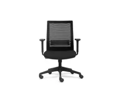 Bureaustoel Ecoline Zwart Netbespanning Lendensteun