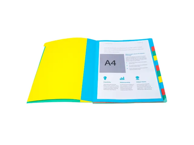 Sorteermap Harmonika 12 vak ass