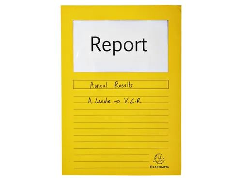 Venstermap Exacompta Forever L-map 120gr karton assorti