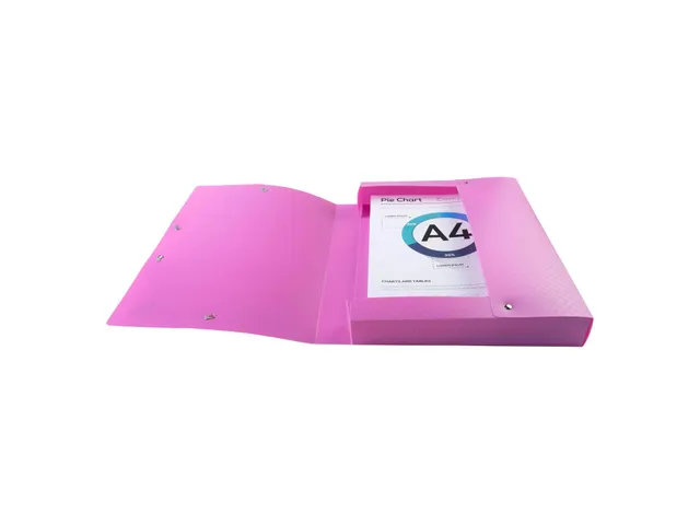 Klasseerdoos rug 40m m PP Forever Young