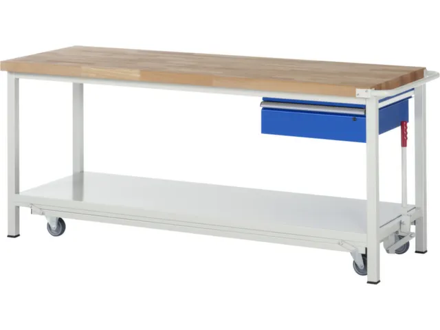 Werkbank 880x2000x700mm Beukenhouten Werkblad 1lade