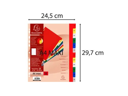 Bedrukte Tabbladen A4+ Jan-dec Assorti Pp 0.12mm 12-delig 11-gaats(FR)