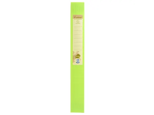 Klasseerdoos FOREVER PP rug 40mm anijs