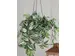Kunstplant Mica Tradescantia hangend groen 45x25cm
