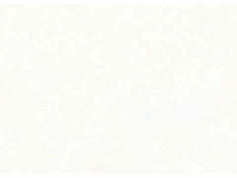 Zijdevloeipapier Folia 50x70cm 20gr nr00 wit 10 vel