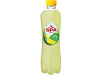 Spa Fruit Sparkling lemon-cactus fles 40 cl pak 24 st
