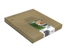 C13T12854511 Epson Fox Multipack Cartridge 4-colours T128 EasyMail