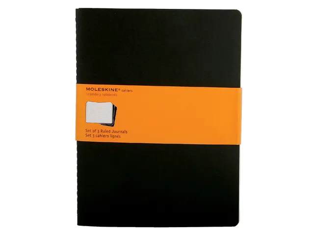Schrift Moleskine Lijn Xl Zwart 190x250mm