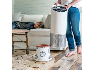 Filter koolstof huisdieren voor Leitz TruSens Z-3000 - 3
