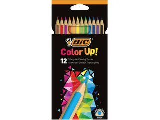 Kleurpotloden Bic Intensity assorti etui à 12 stuks - 2