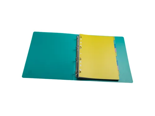 Tabbladen PP FOREVER YOUNG A4 10 tabs