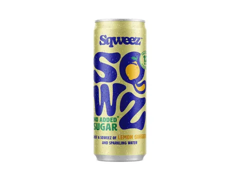 Frisdrank Lemon Ginger BIO Blik 25CL Pak van 12 Stuks