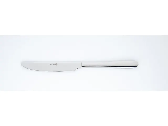 Bestek Global Tafelmes 24cm, doos 12 stuks