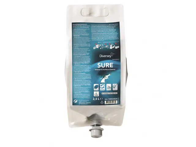 Interior&Surface Cleaner Allesreiniger QS 2x2,5 Liter