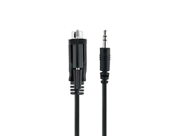 1m DB9 naar 3.5mm Seriële Kabel RS232