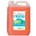 Ecover Ecopro Floral Fresh Allesreiniger 5 Liter