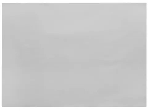 Infibra I-0650N Placemats 30x40cm Wit 2500 Stuks